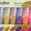 Akrylfärger 6x75 ml