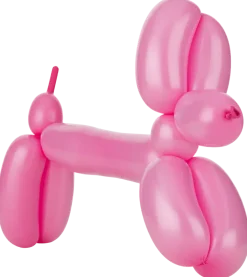 BALLONGER FÖR BALLONGDJUR