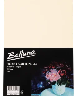 Belluno Hobby kartong ljus 100 ark - 250 g
