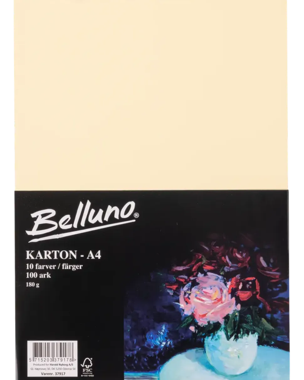 Belluno Kartong ljus 100 ark - 180 g