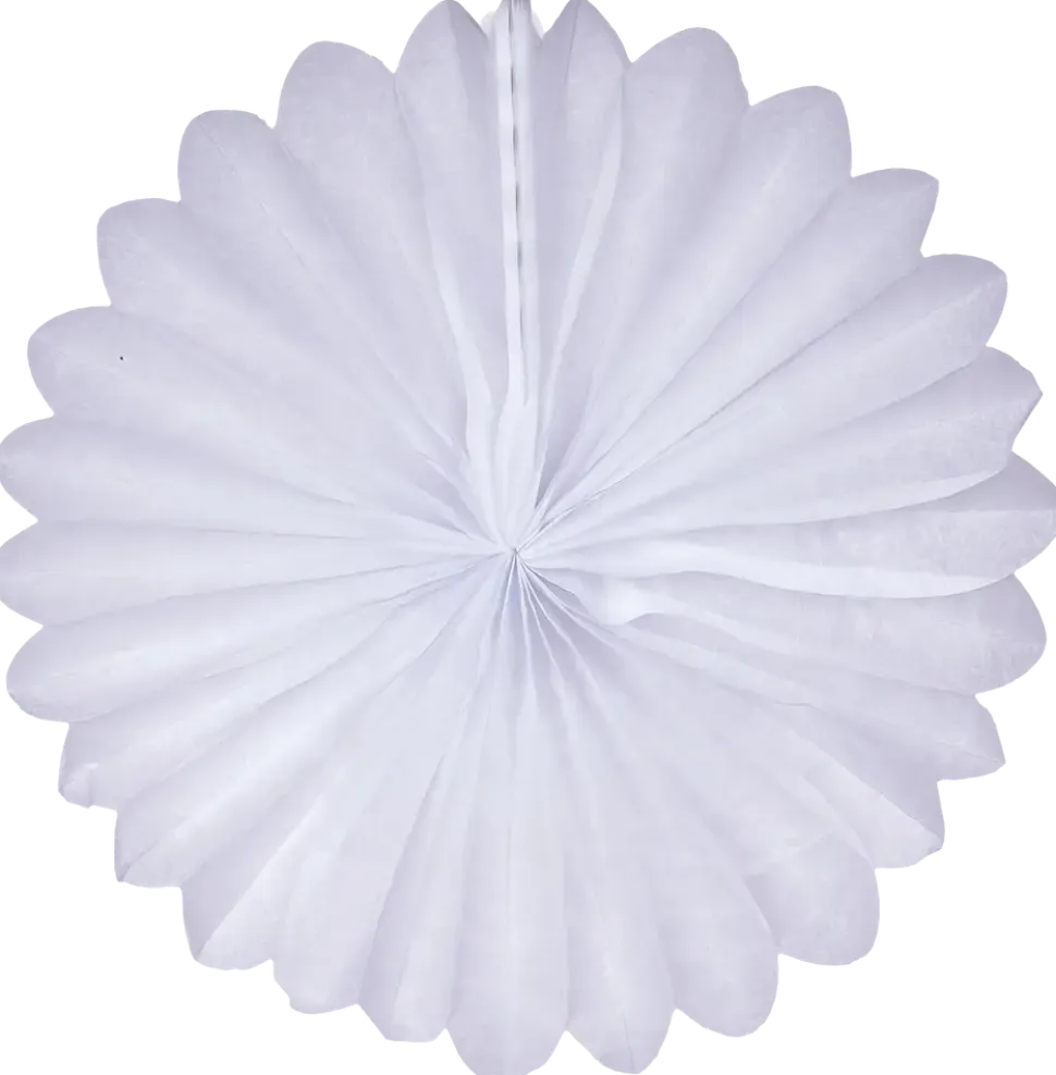Blomma silverpapper vit