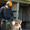 BOSCH Kedjesåg 27 cm 18V 30-28