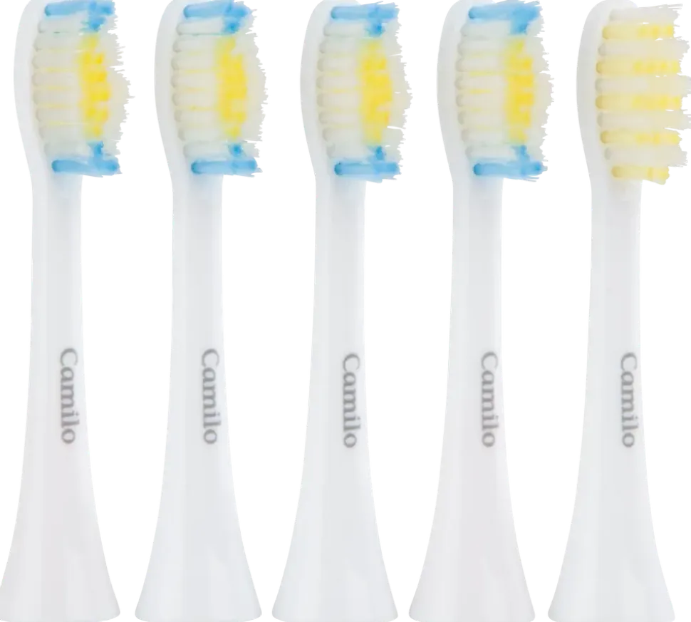 Camilo tandborsthuvud 5 st