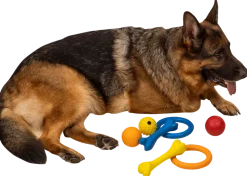 Chrisco gummiben för hund