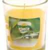 Citronella myggljus glas