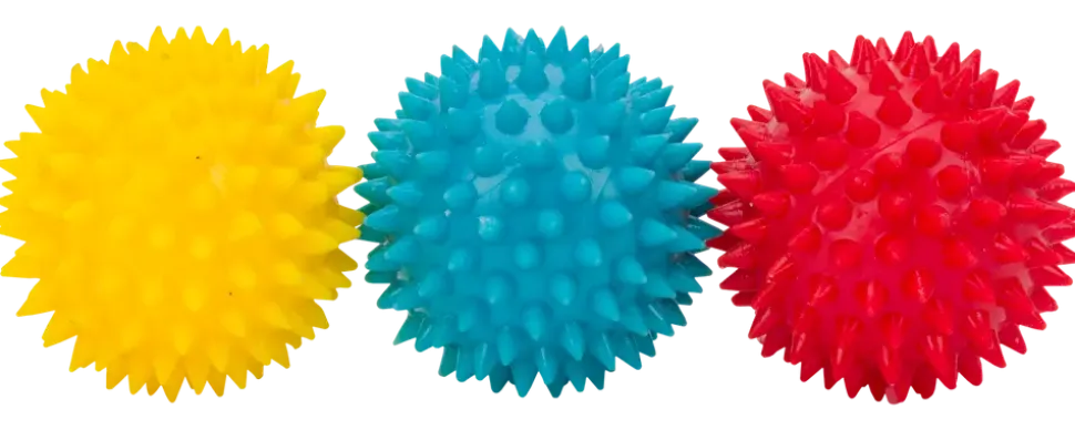 DanPet Hundleksaker 3-pack bollar med piggar