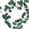 Eucalyptus girlang