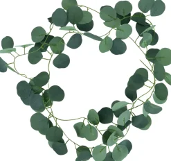 Eucalyptus girlang