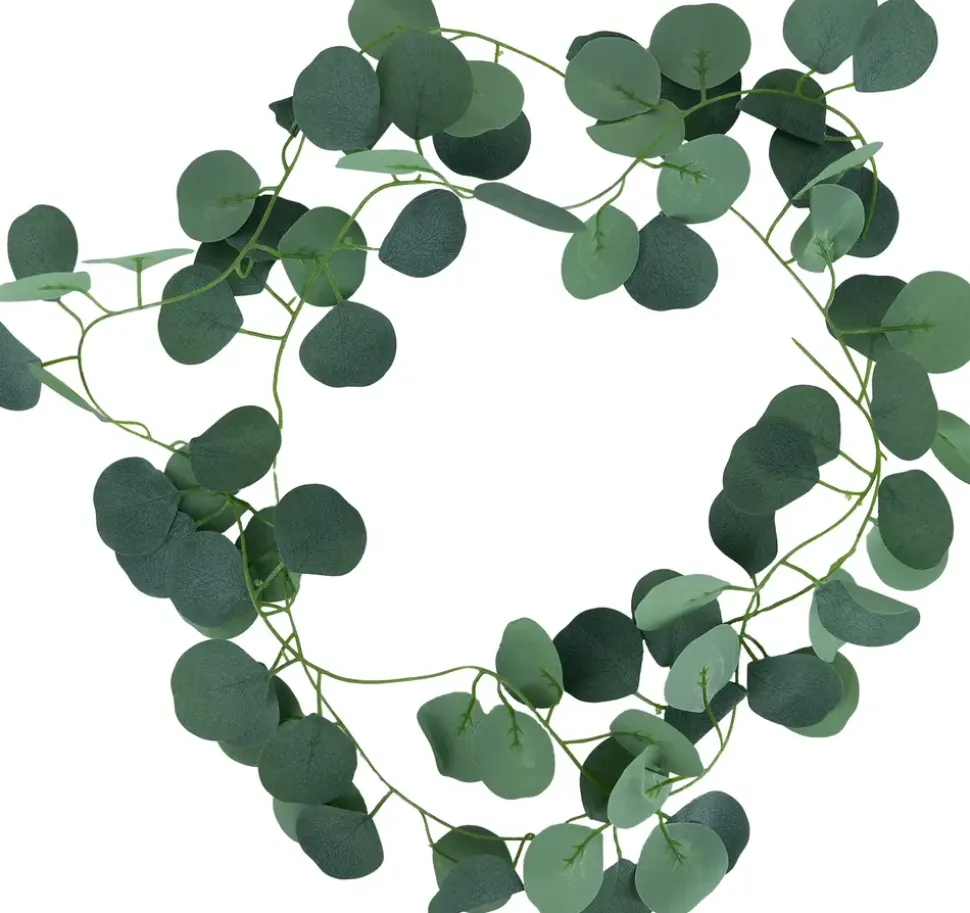 Eucalyptus girlang