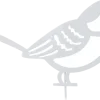 Fågel markdekoration