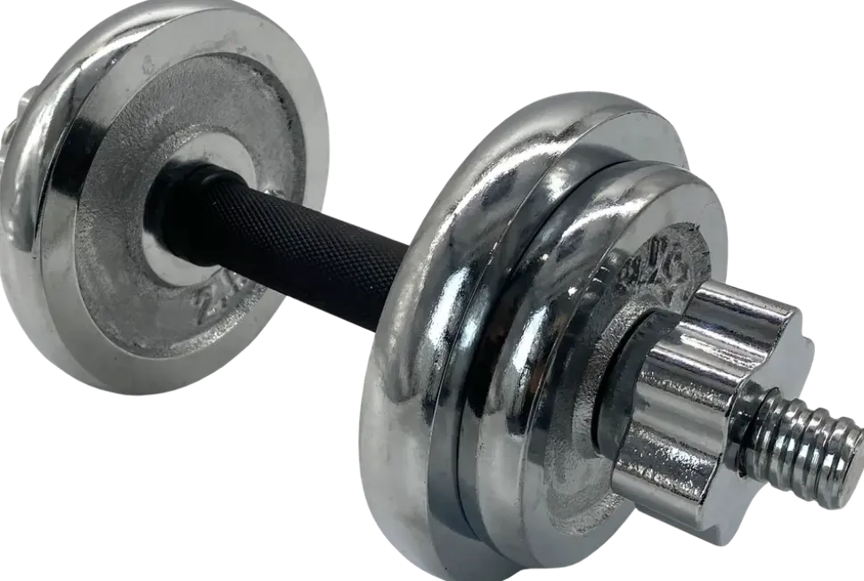 Hantel krom 10 kg