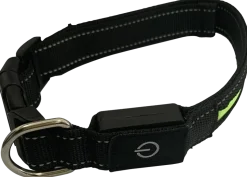 Hundhalsband led L
