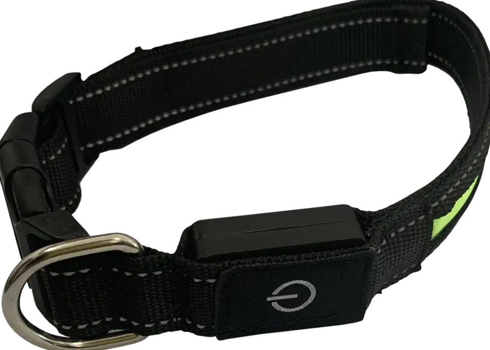 Hundhalsband led L
