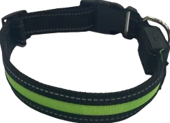 Hundhalsband led L