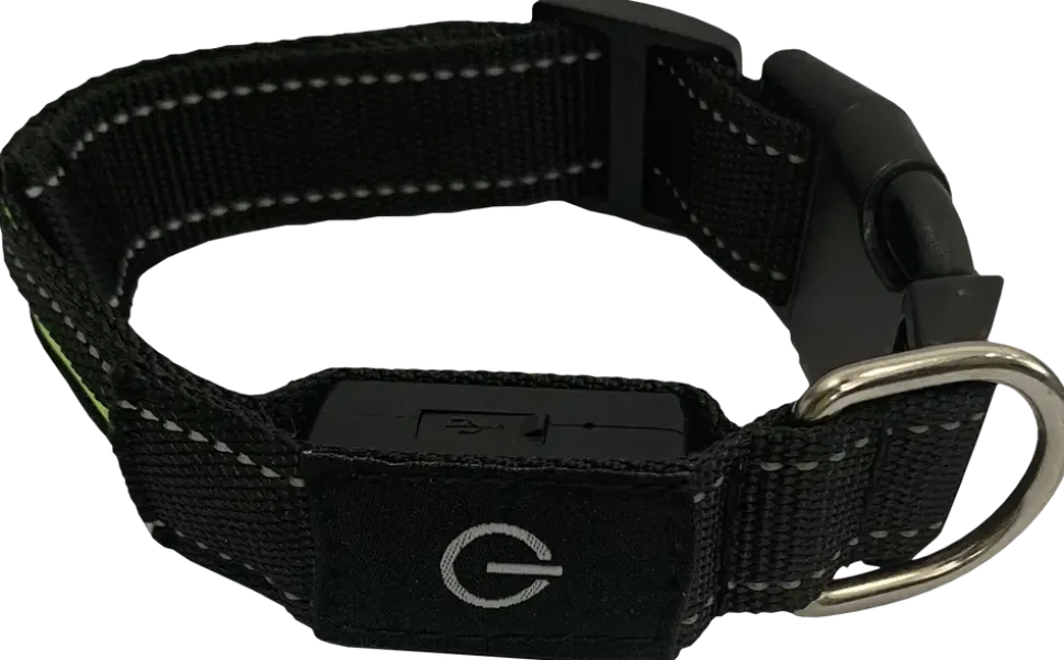 Hundhalsband led S