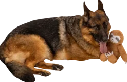 Hundledkak sengångare 44 cm