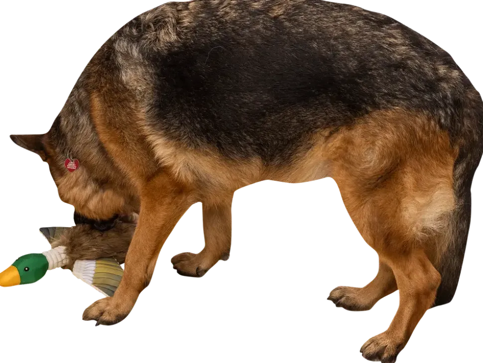 Hundleksak and 42 cm