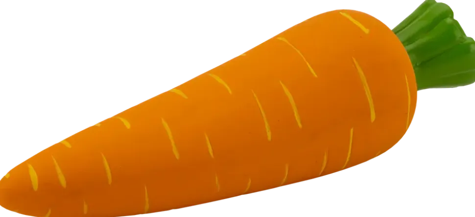 Hundleksak Grönsaker