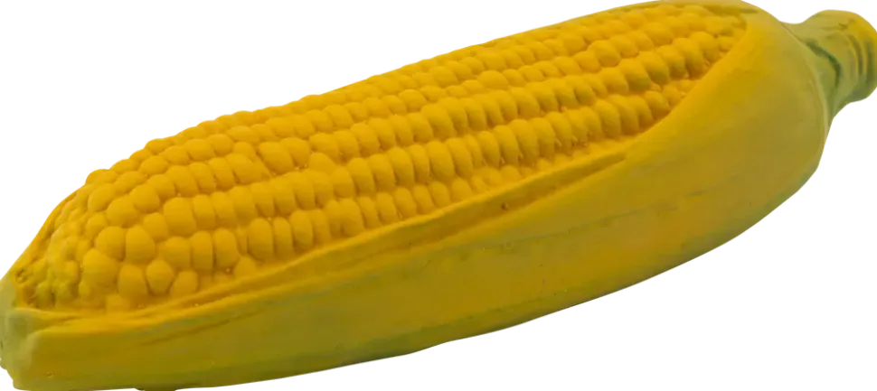 Hundleksak Grönsaker