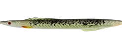 Kinetic Tobias Inline 18g Chartreuse Sandeel
