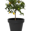 Kruka 40 cm antracit