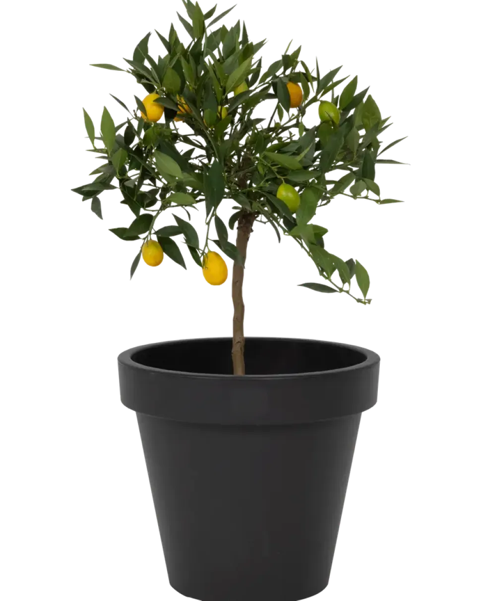 Kruka 40 cm antracit