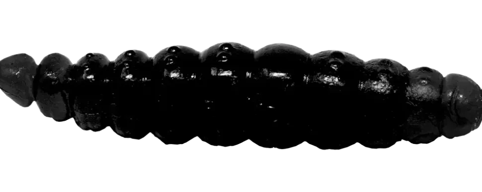 Larvy Cheese 4,5 cm - Black