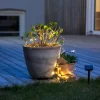 Ljusslinga 100 LED med solcell