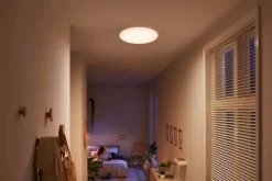 PHILIPS Plafond Wavel 17 W