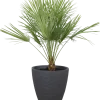 Räfflad kruka 39 cm antracit