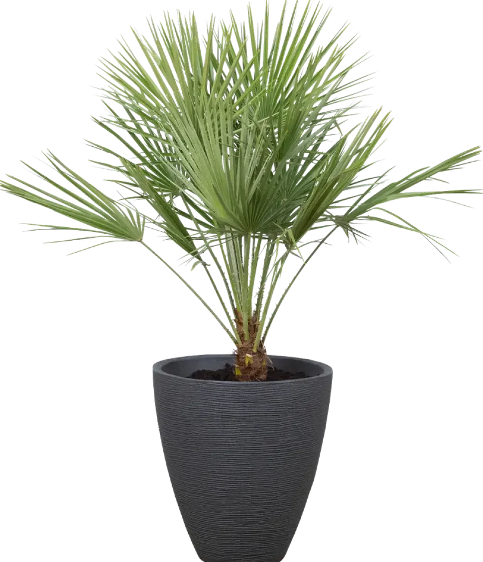 Räfflad kruka 39 cm antracit