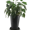 Rullvagn plast d 30 cm