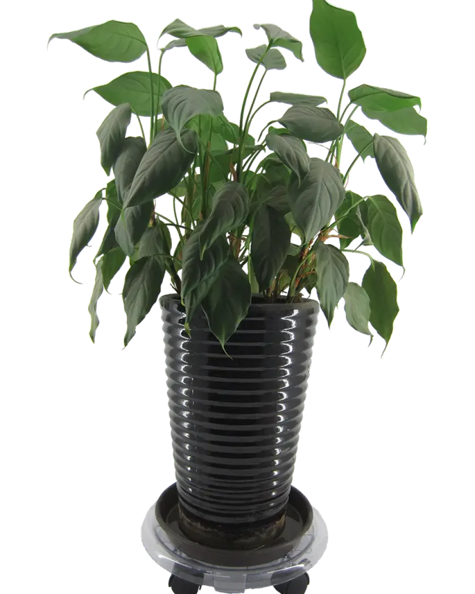 Rullvagn plast d 30 cm