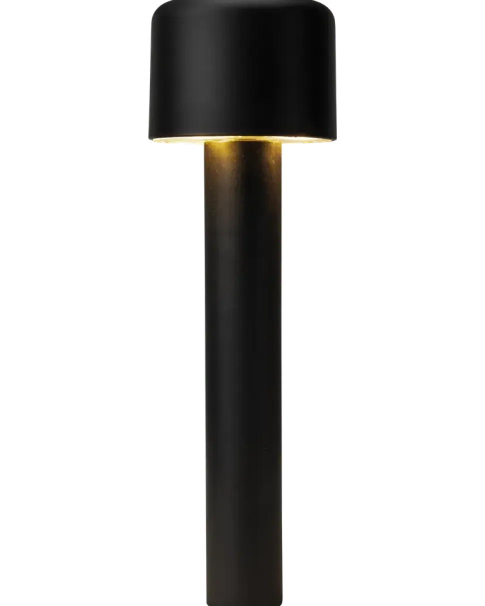 Solcellslampa på spett 50,5 cm
