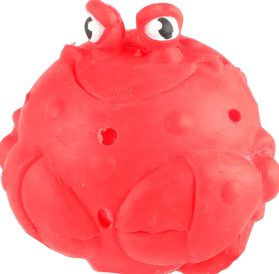 Sponge Sea animal