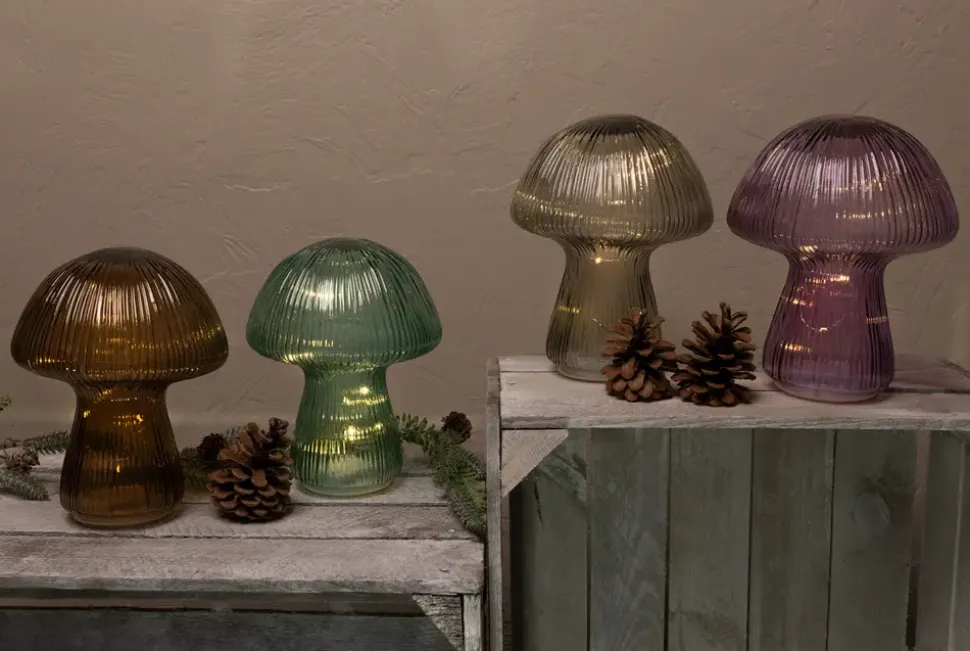 Svamp lampa