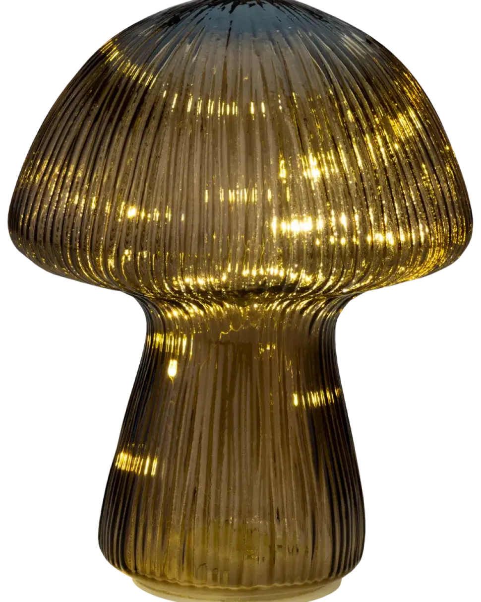 Svamp lampa
