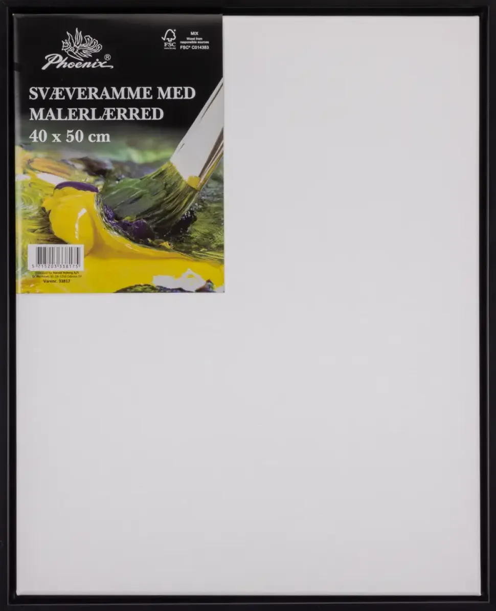 Svävarram målarduk 50X40 svart
