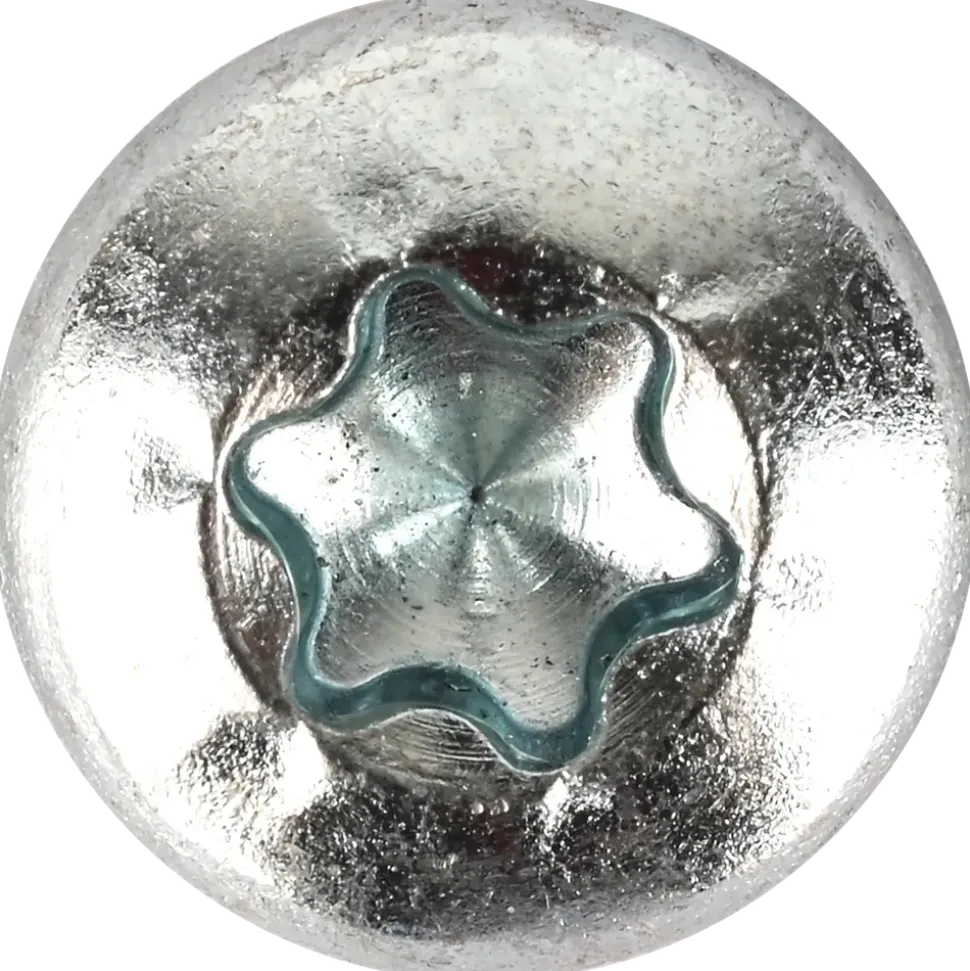 Träskruv 6,0 x 16 mm TX30 100 stk.