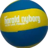 Volleyboll storlek 5